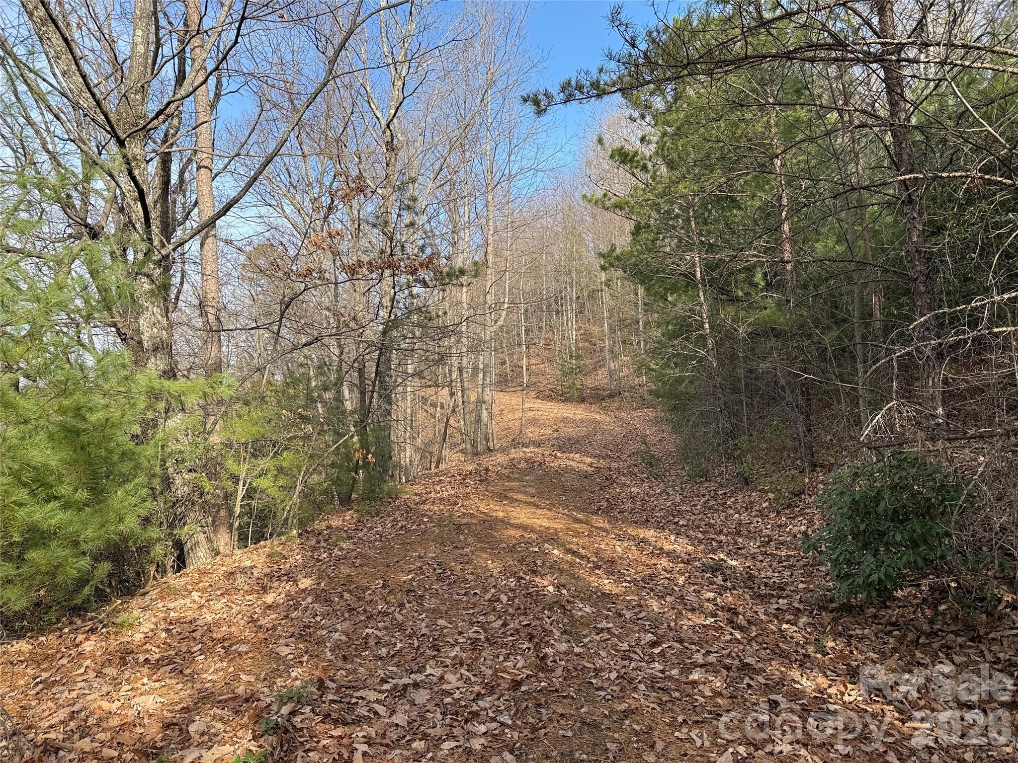 Tbd Maple Valley Lane Purlear NC 28665