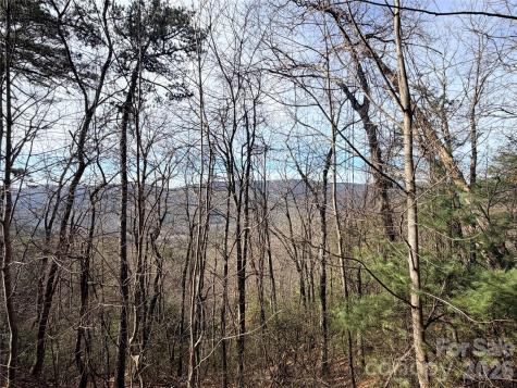 Tbd Maple Valley Lane Purlear NC 28665