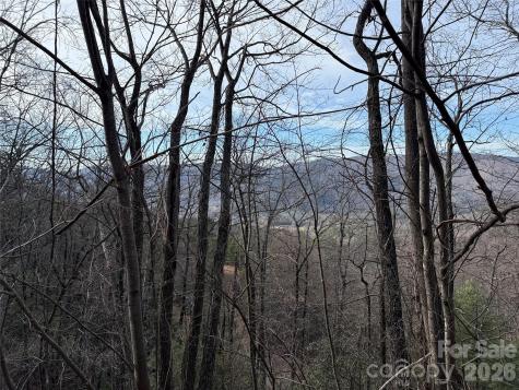 Tbd Maple Valley Lane Purlear NC 28665