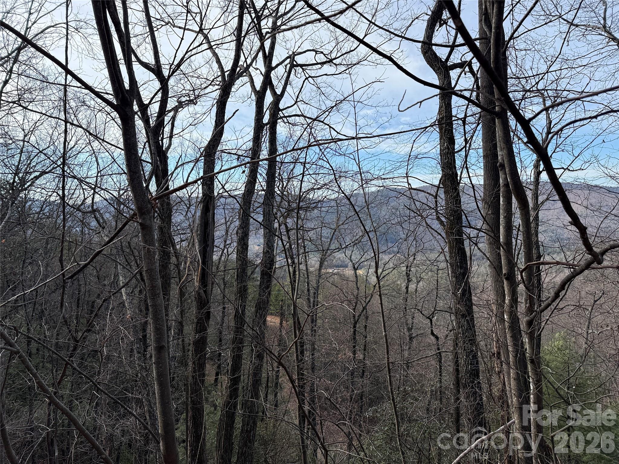 Tbd Maple Valley Lane Purlear NC 28665
