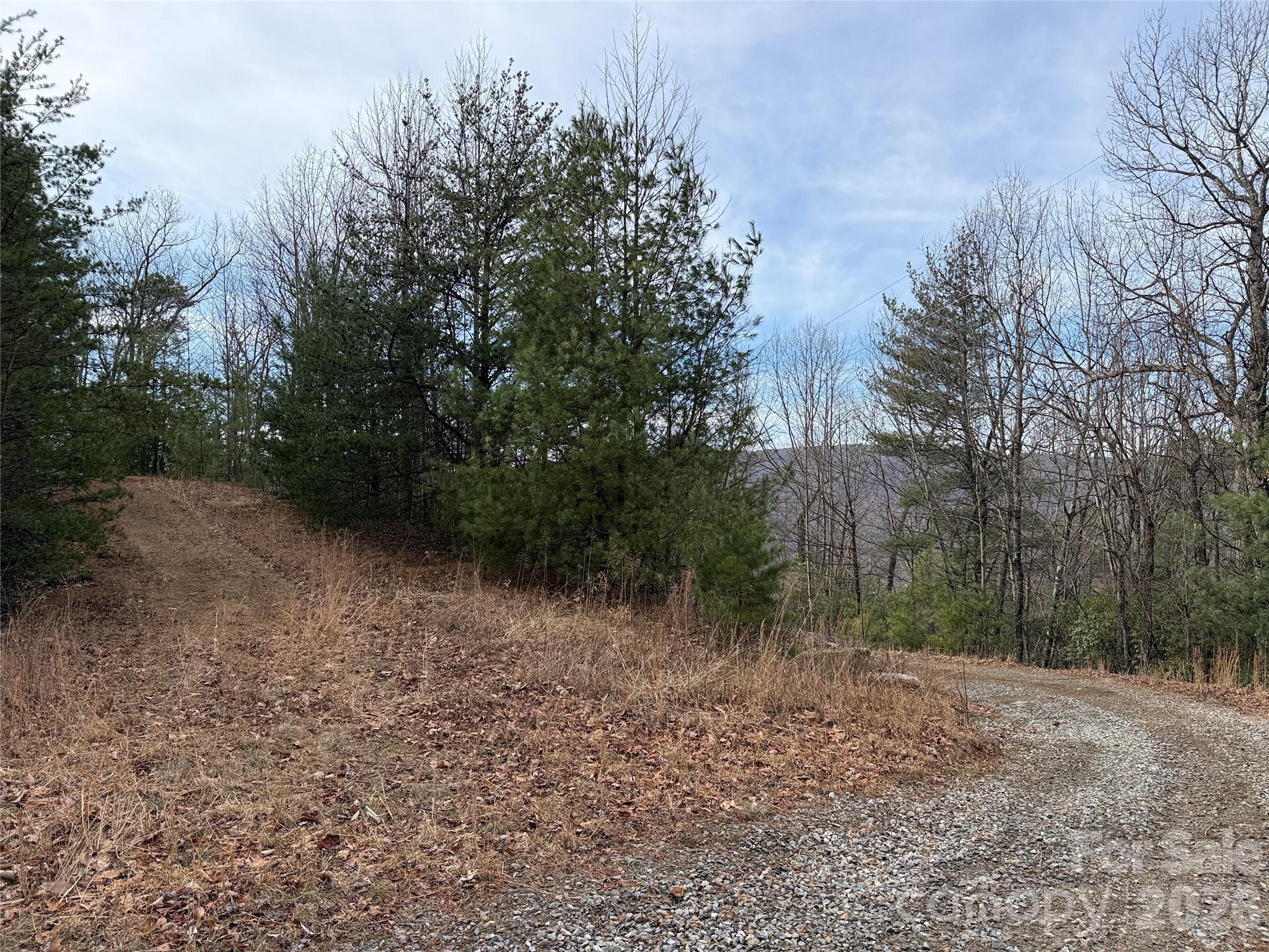 Tbd Maple Valley Lane Purlear NC 28665