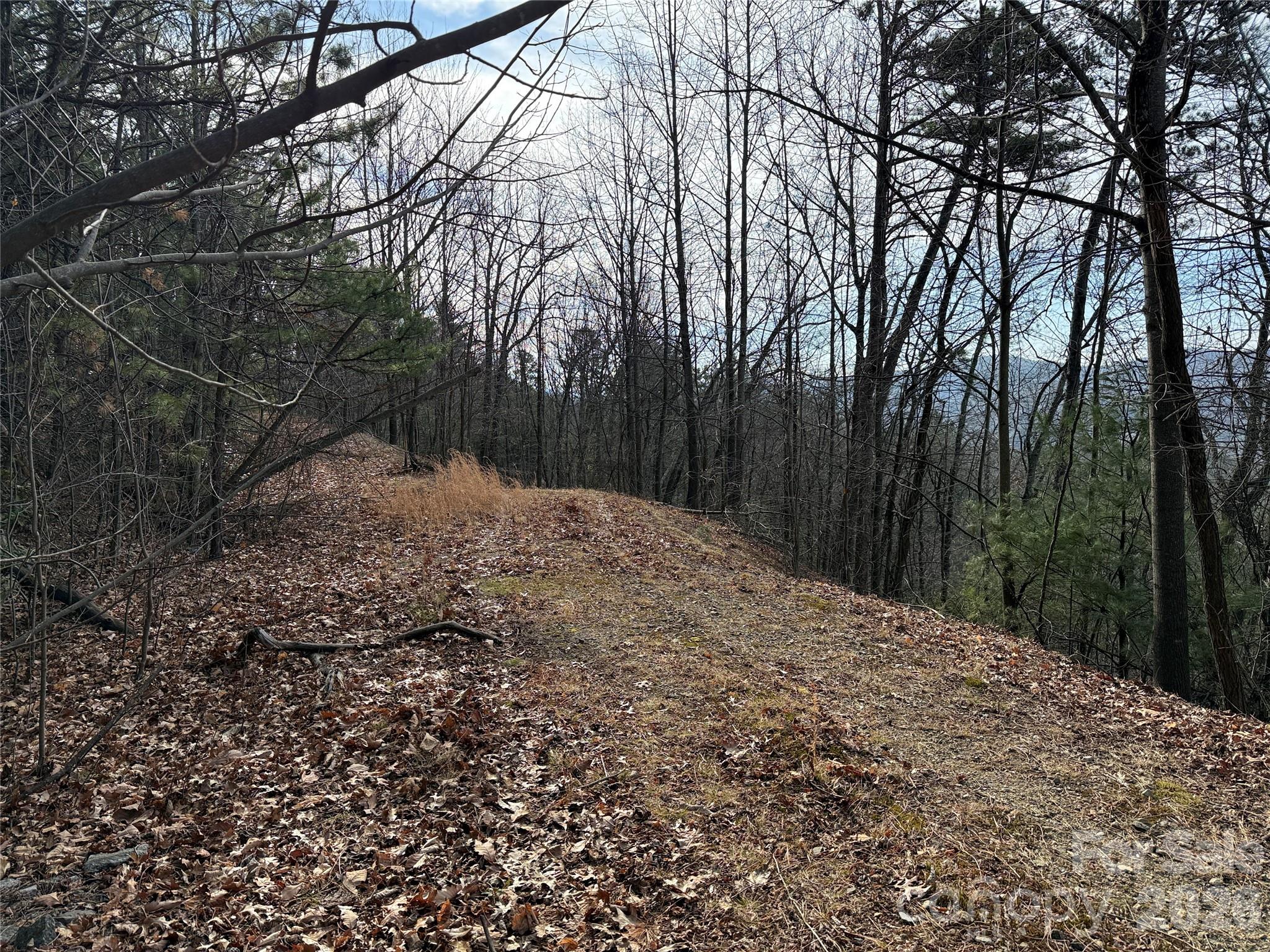 Tbd Maple Valley Lane Purlear NC 28665