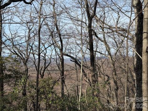 Tbd Maple Valley Lane Purlear NC 28665
