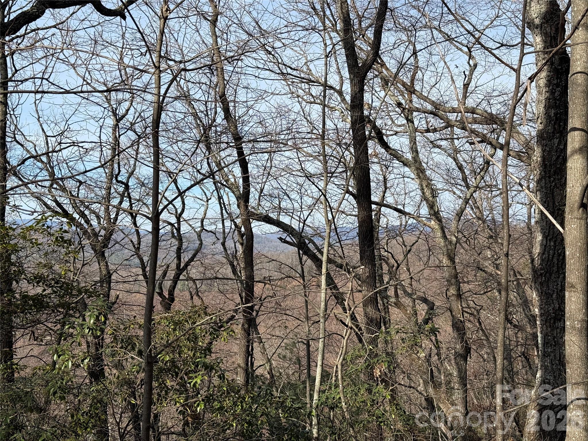 Tbd Maple Valley Lane Purlear NC 28665