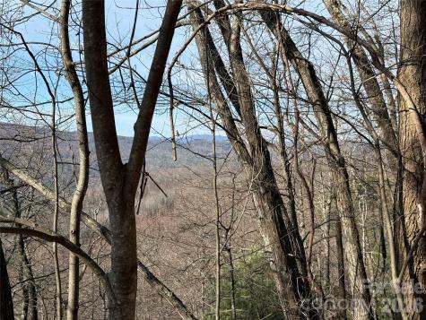 Tbd Maple Valley Lane Purlear NC 28665