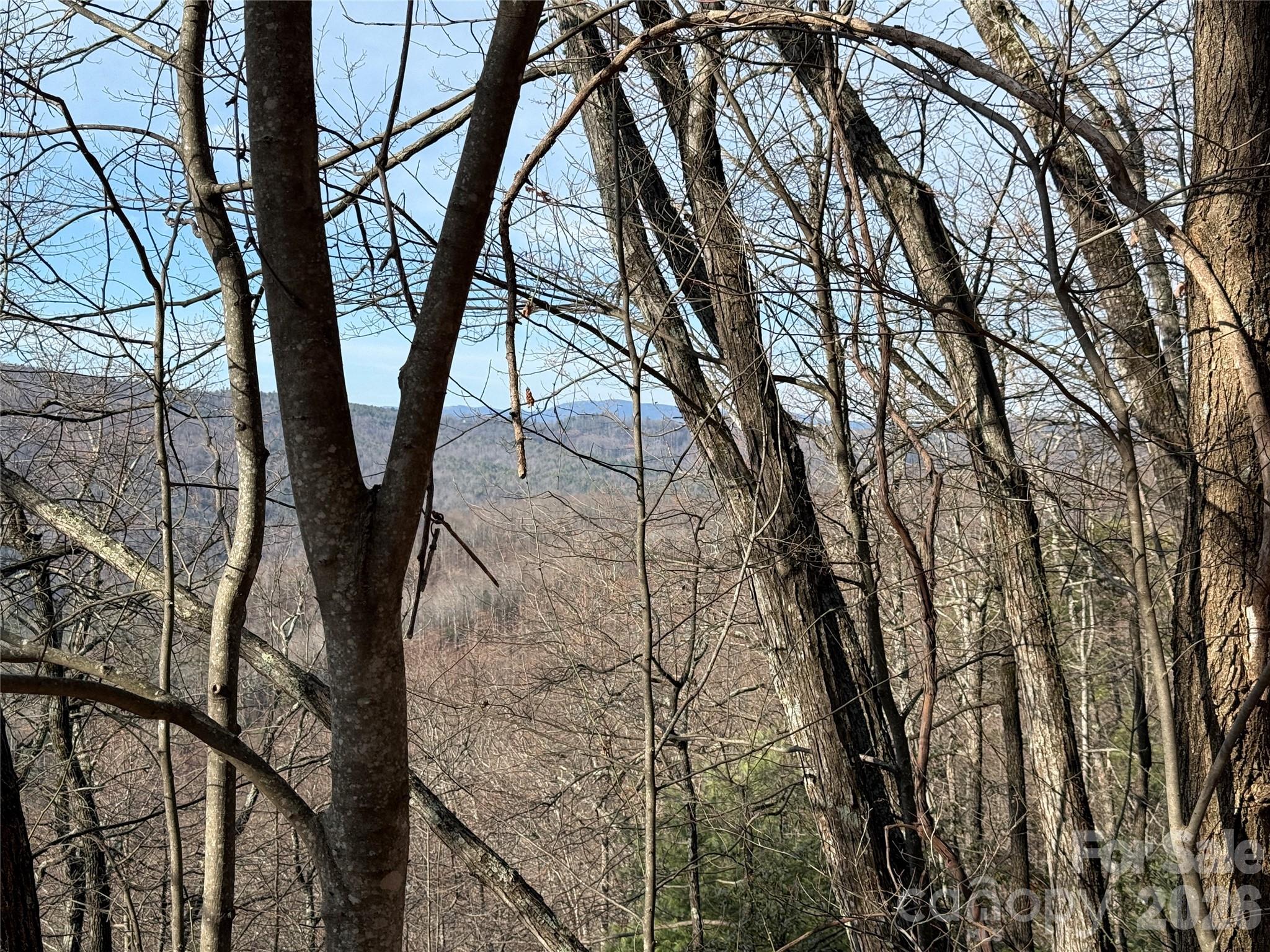 Tbd Maple Valley Lane Purlear NC 28665