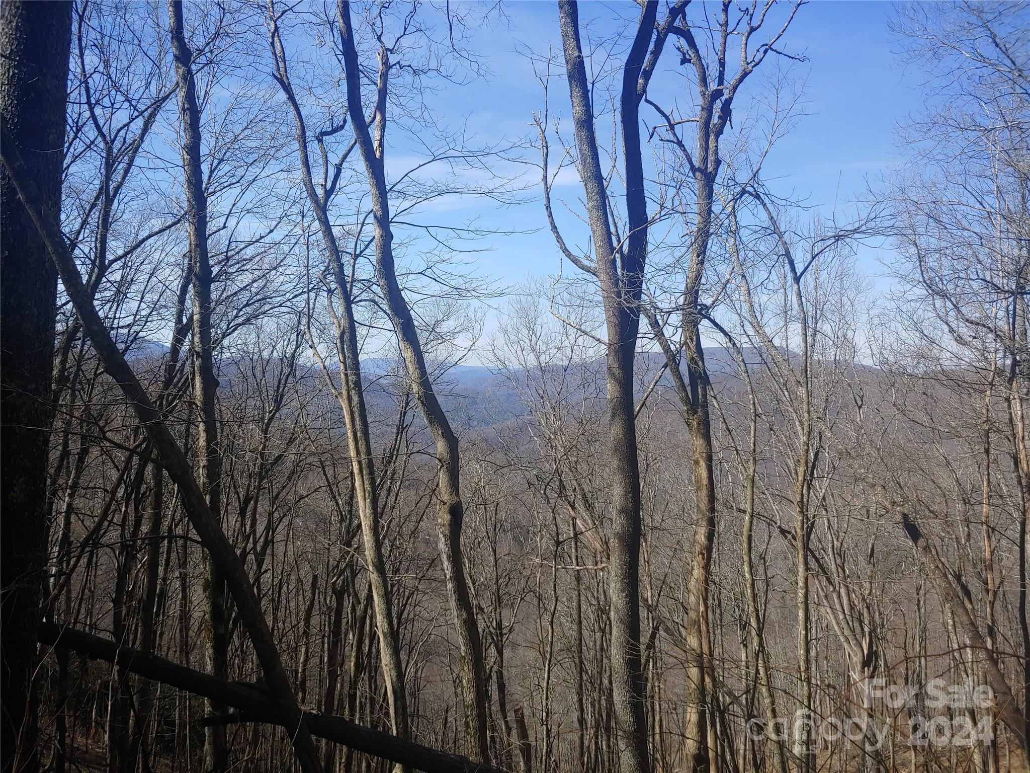 34 Barn Cove Road Clyde NC 28721