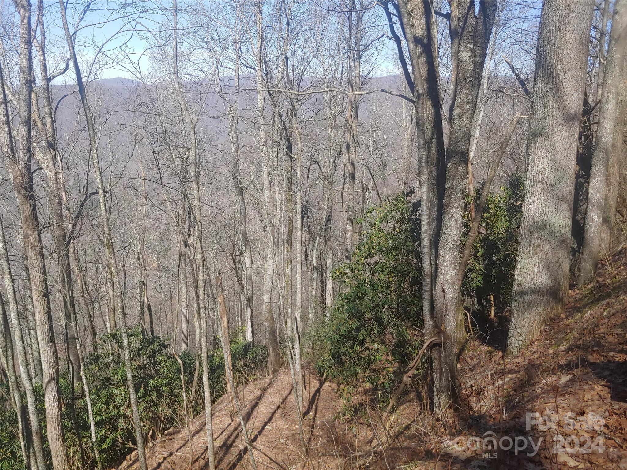 34 Barn Cove Road Clyde NC 28721