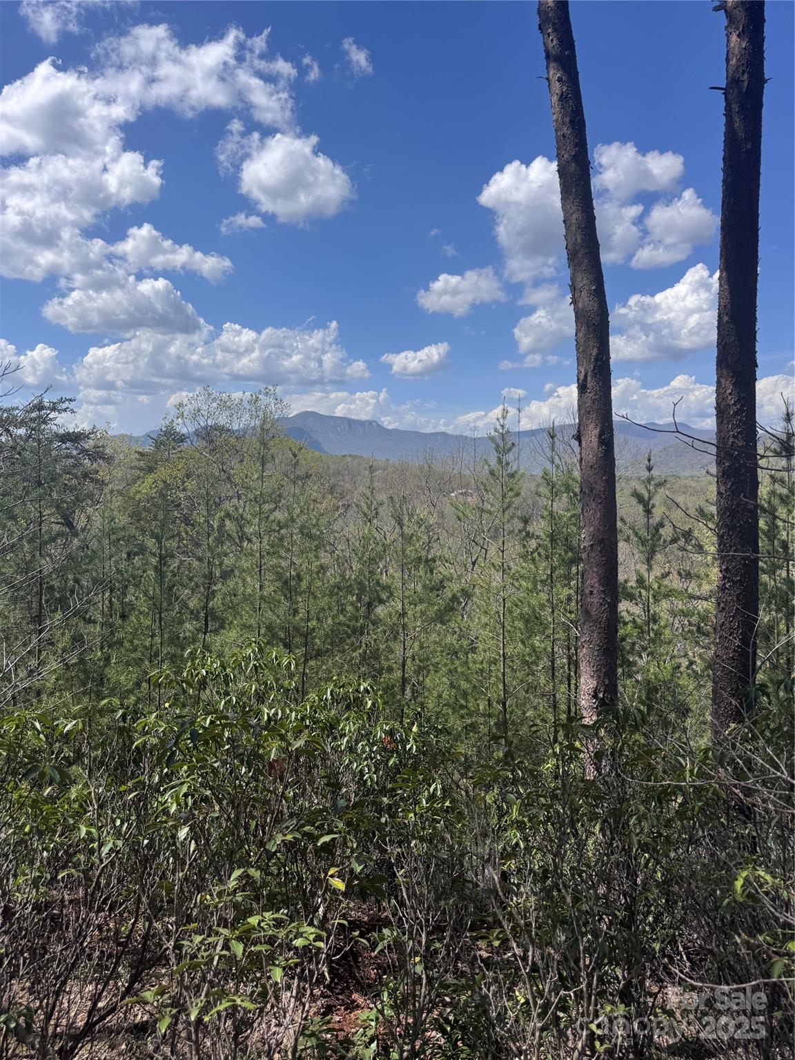 0 High Pines Loop Lake Lure NC 28746
