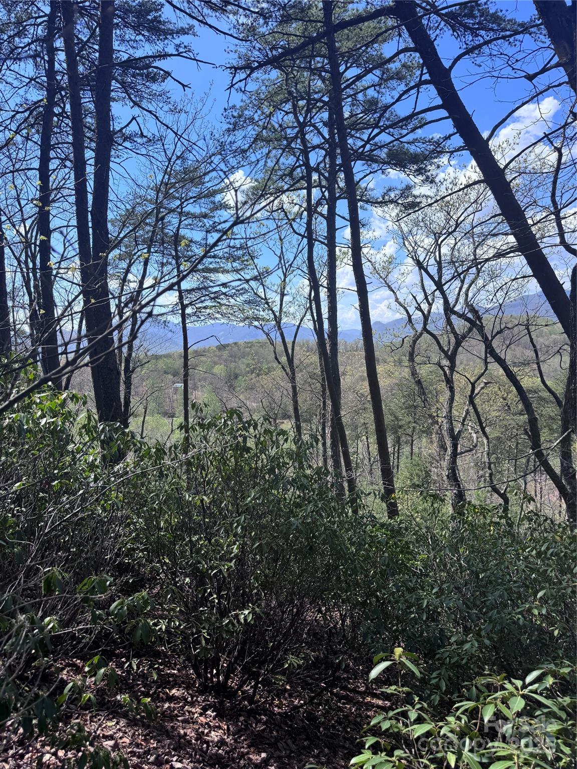 0 High Pines Loop Lake Lure NC 28746