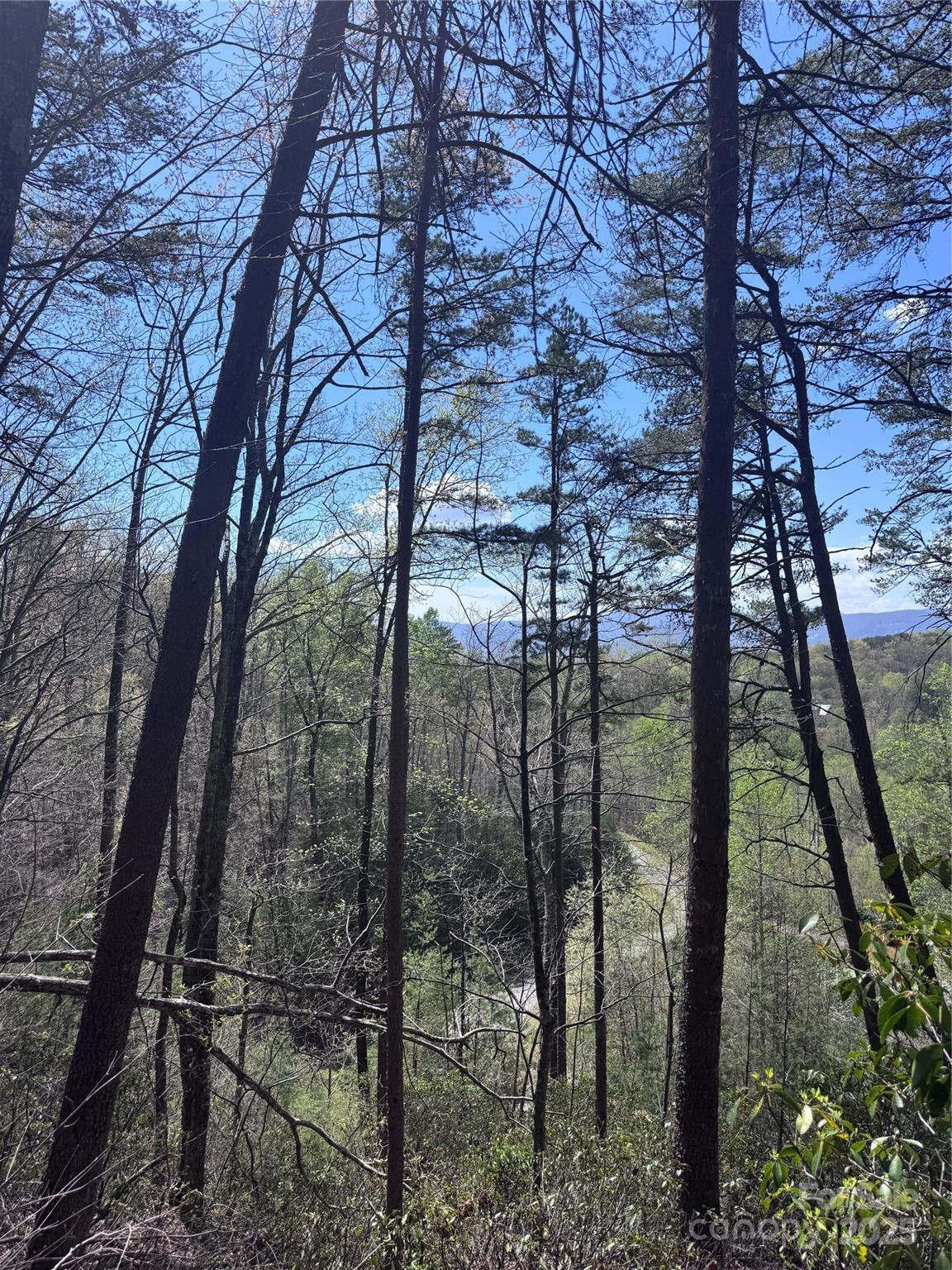 0 High Pines Loop Lake Lure NC 28746