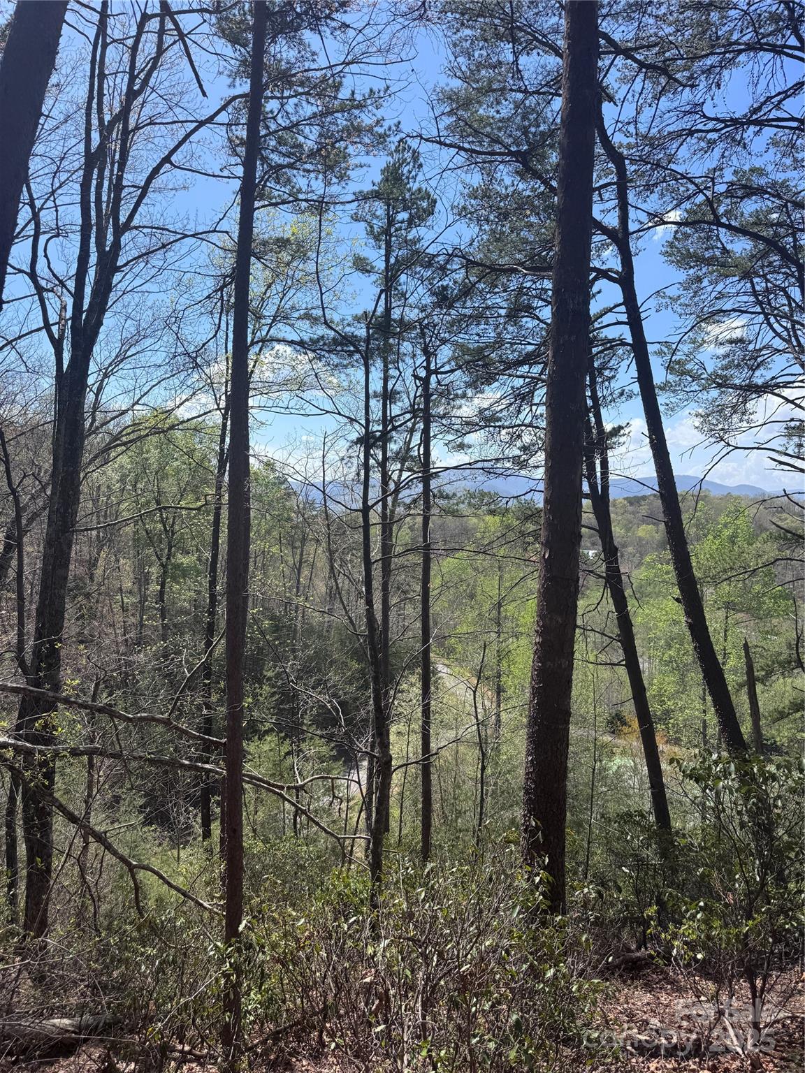 0 High Pines Loop Lake Lure NC 28746