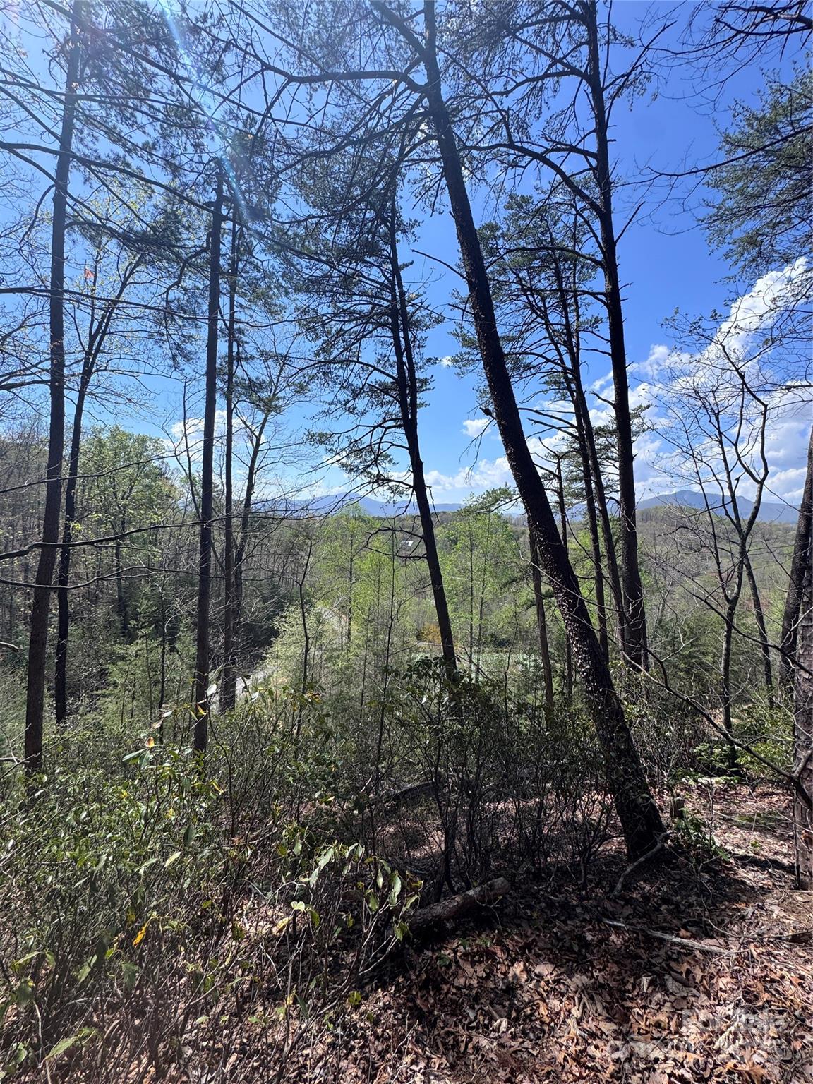 0 High Pines Loop Lake Lure NC 28746