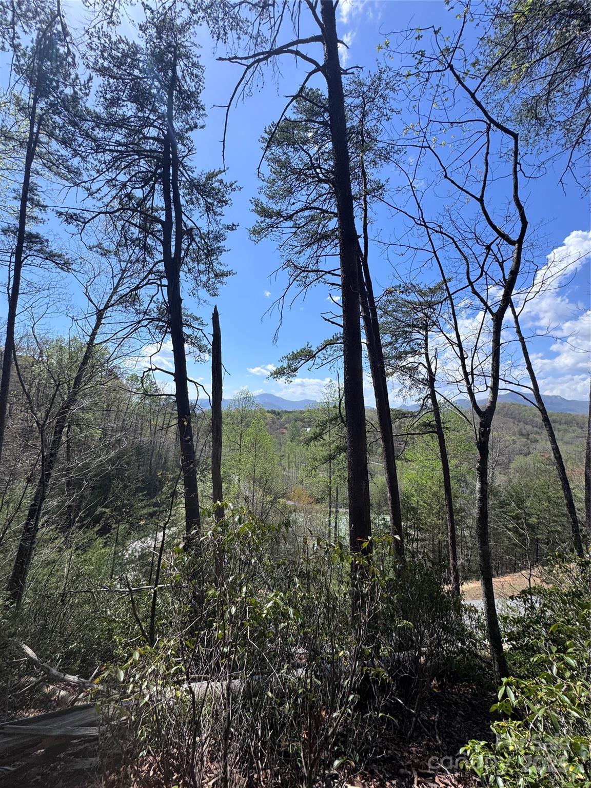 0 High Pines Loop Lake Lure NC 28746