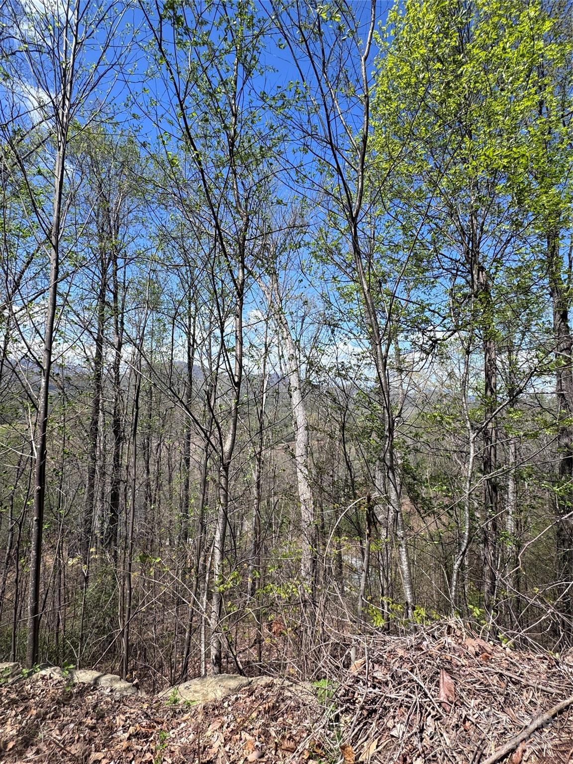0 High Pines Loop Lake Lure NC 28746