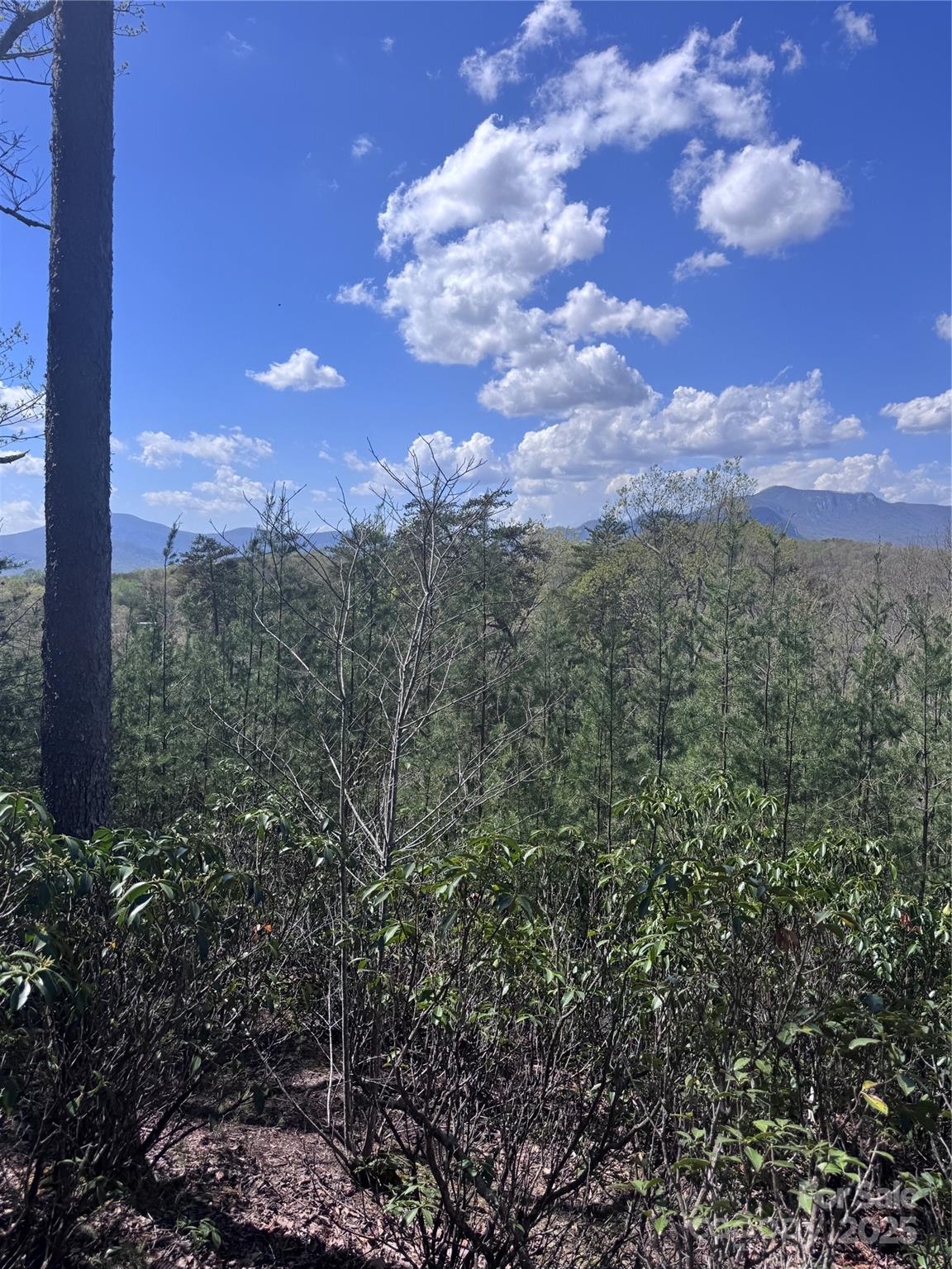 0 High Pines Loop Lake Lure NC 28746
