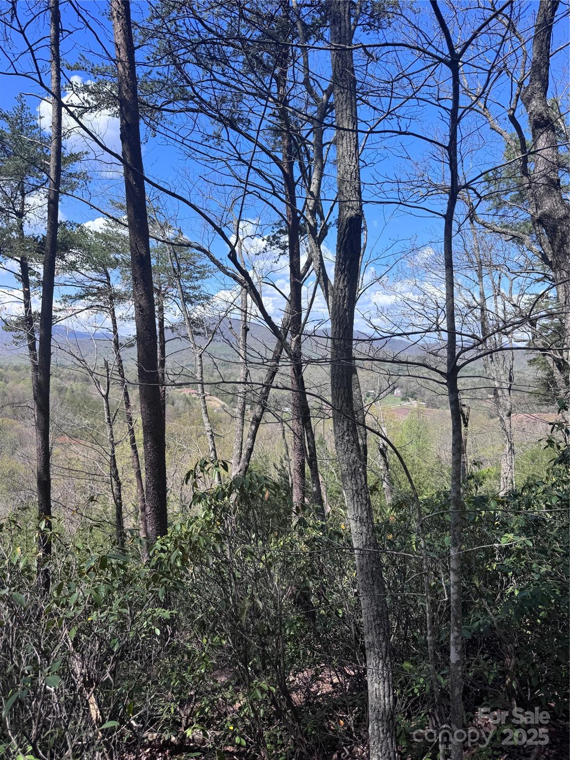 0 High Pines Loop Lake Lure NC 28746