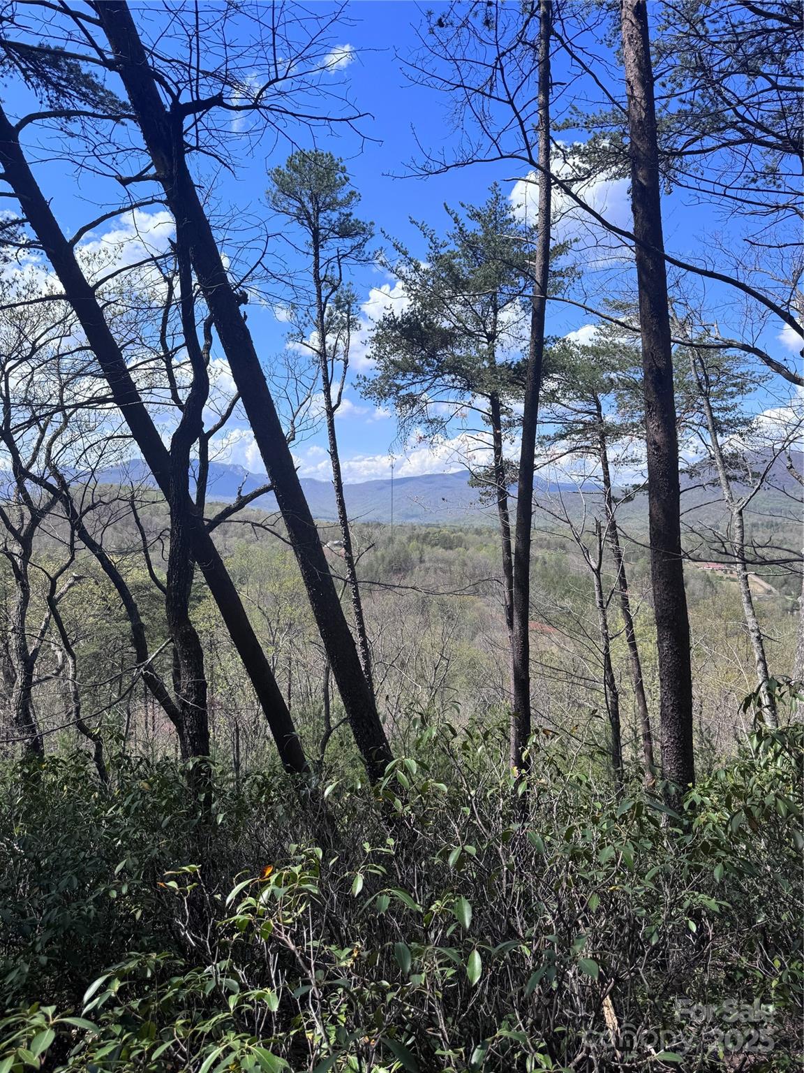 0 High Pines Loop Lake Lure NC 28746