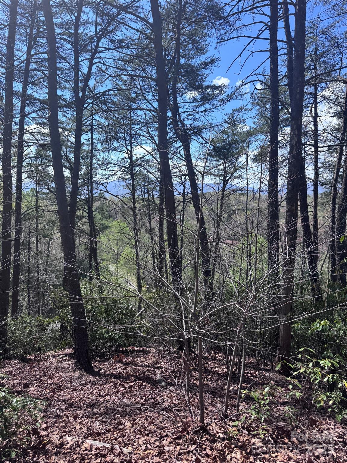 0 High Pines Loop Lake Lure NC 28746