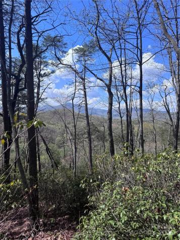 0 High Pines Loop Lake Lure NC 28746