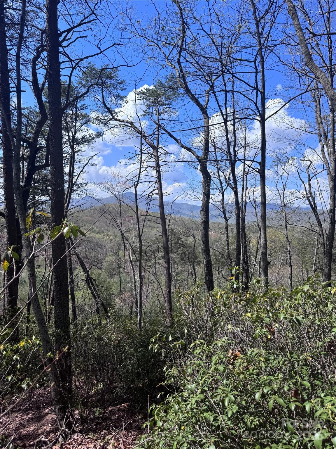 0 High Pines Loop Lake Lure NC 28746