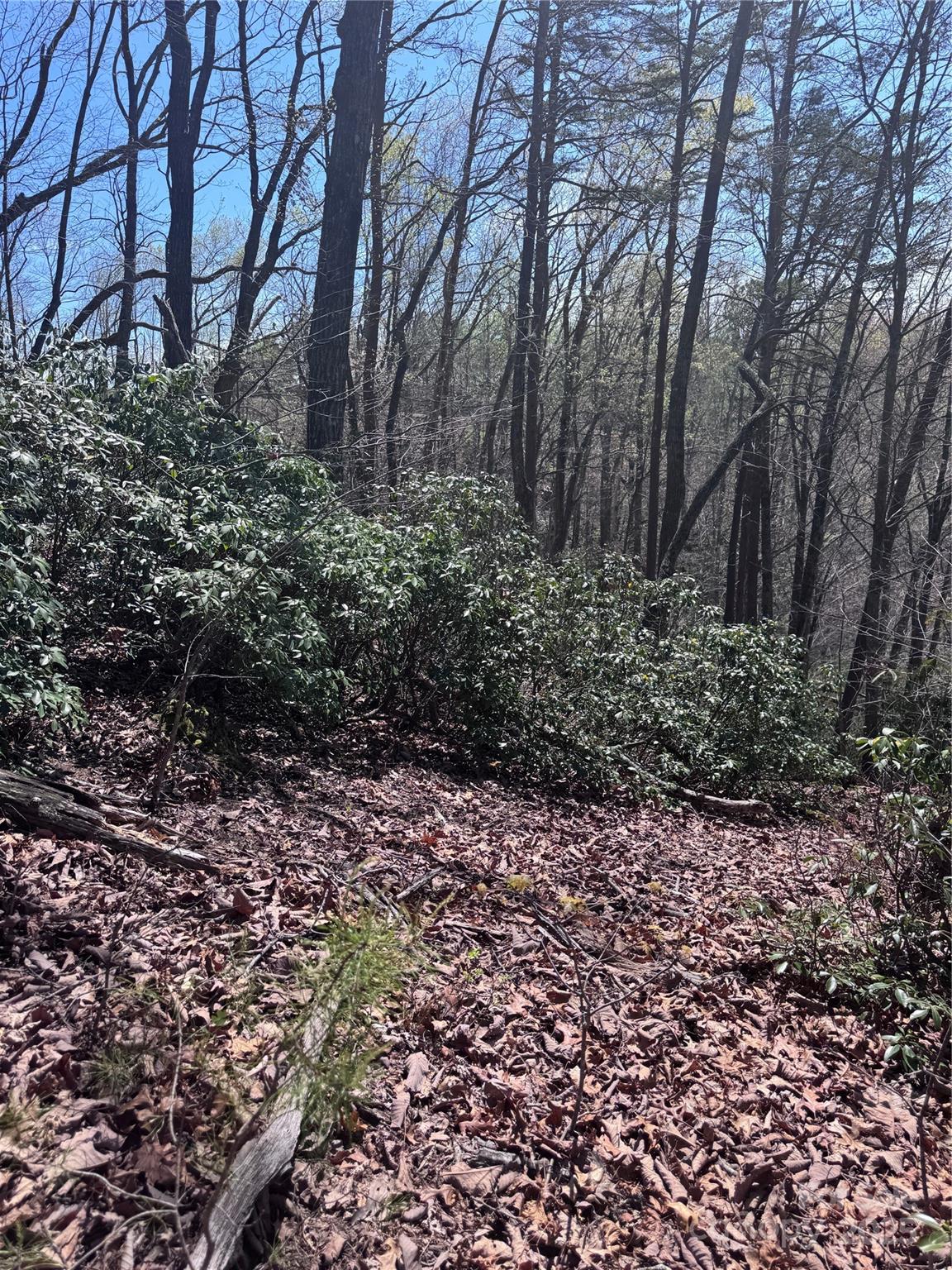 0 High Pines Loop Lake Lure NC 28746