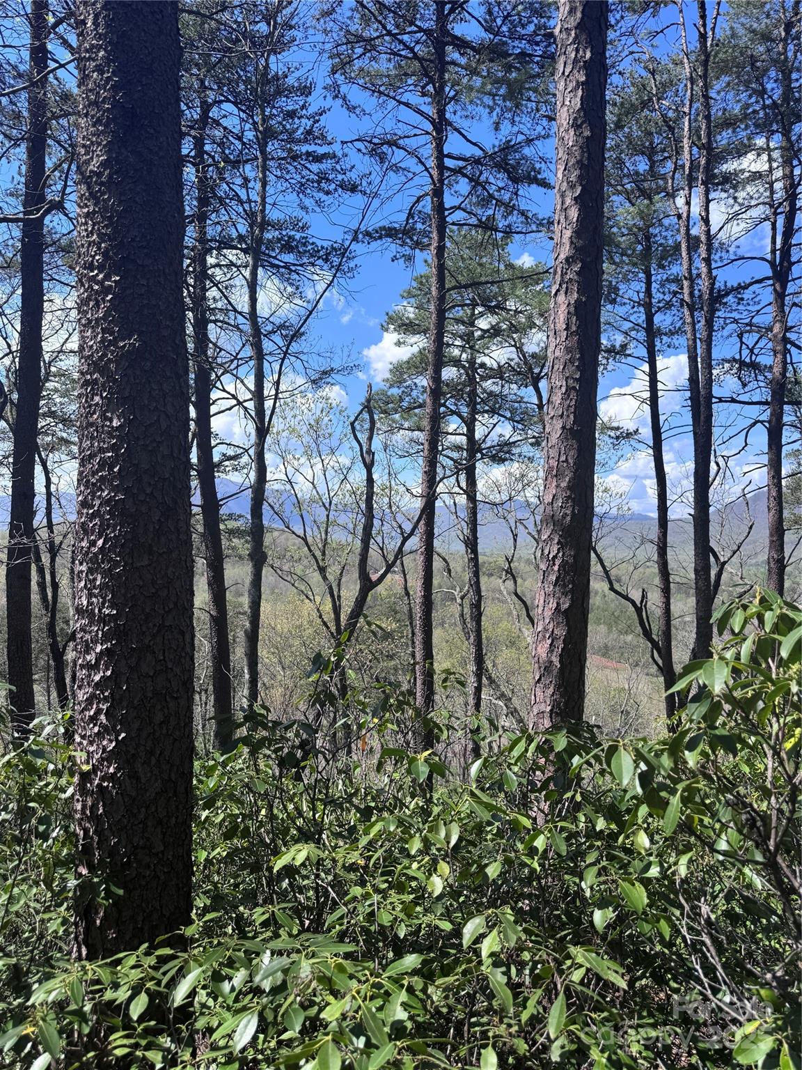 0 High Pines Loop Lake Lure NC 28746