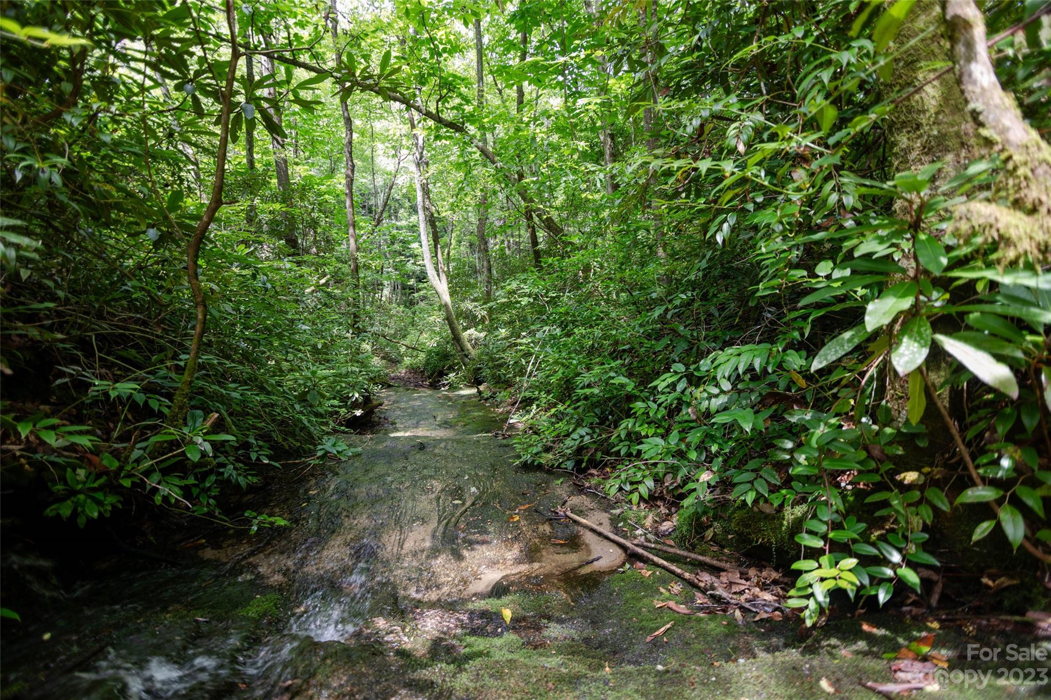 Tbd Nancy Mountain Road Rosman NC 28772