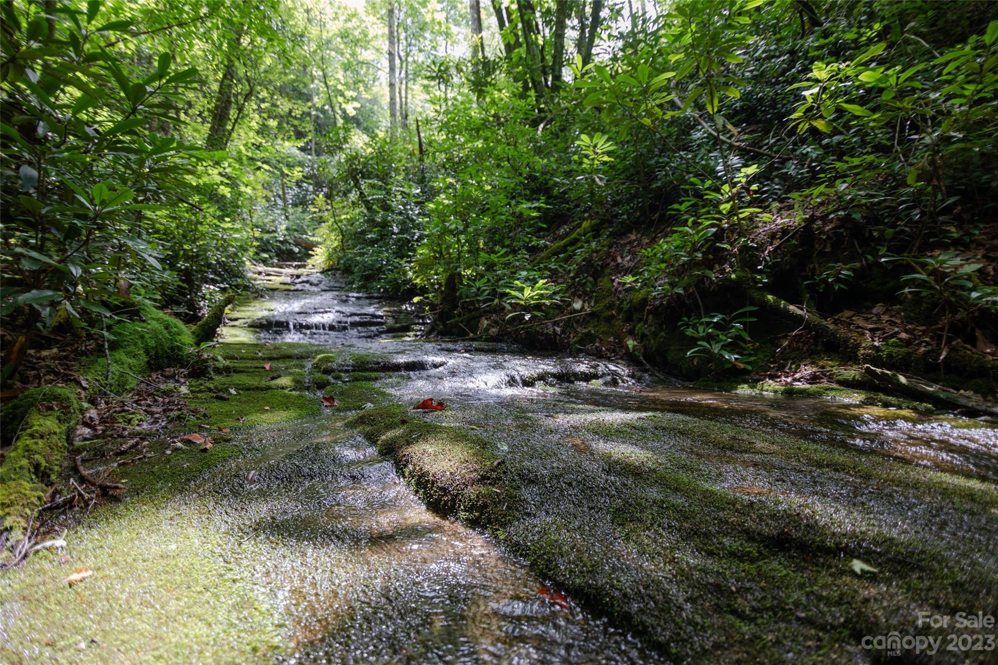 Tbd Nancy Mountain Road Rosman NC 28772
