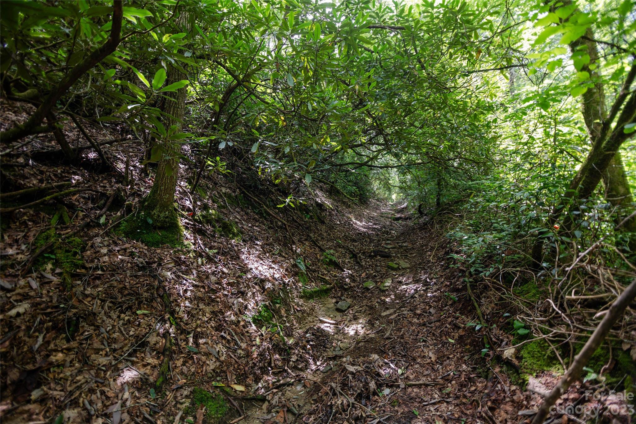 Tbd Nancy Mountain Road Rosman NC 28772