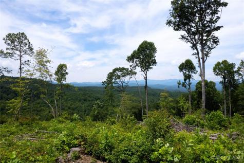 Tbd Nancy Mountain Road Rosman NC 28772