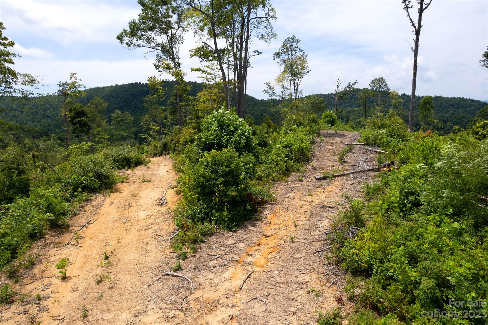 Tbd Nancy Mountain Road Rosman NC 28772