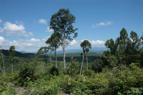 Tbd Nancy Mountain Road Rosman NC 28772