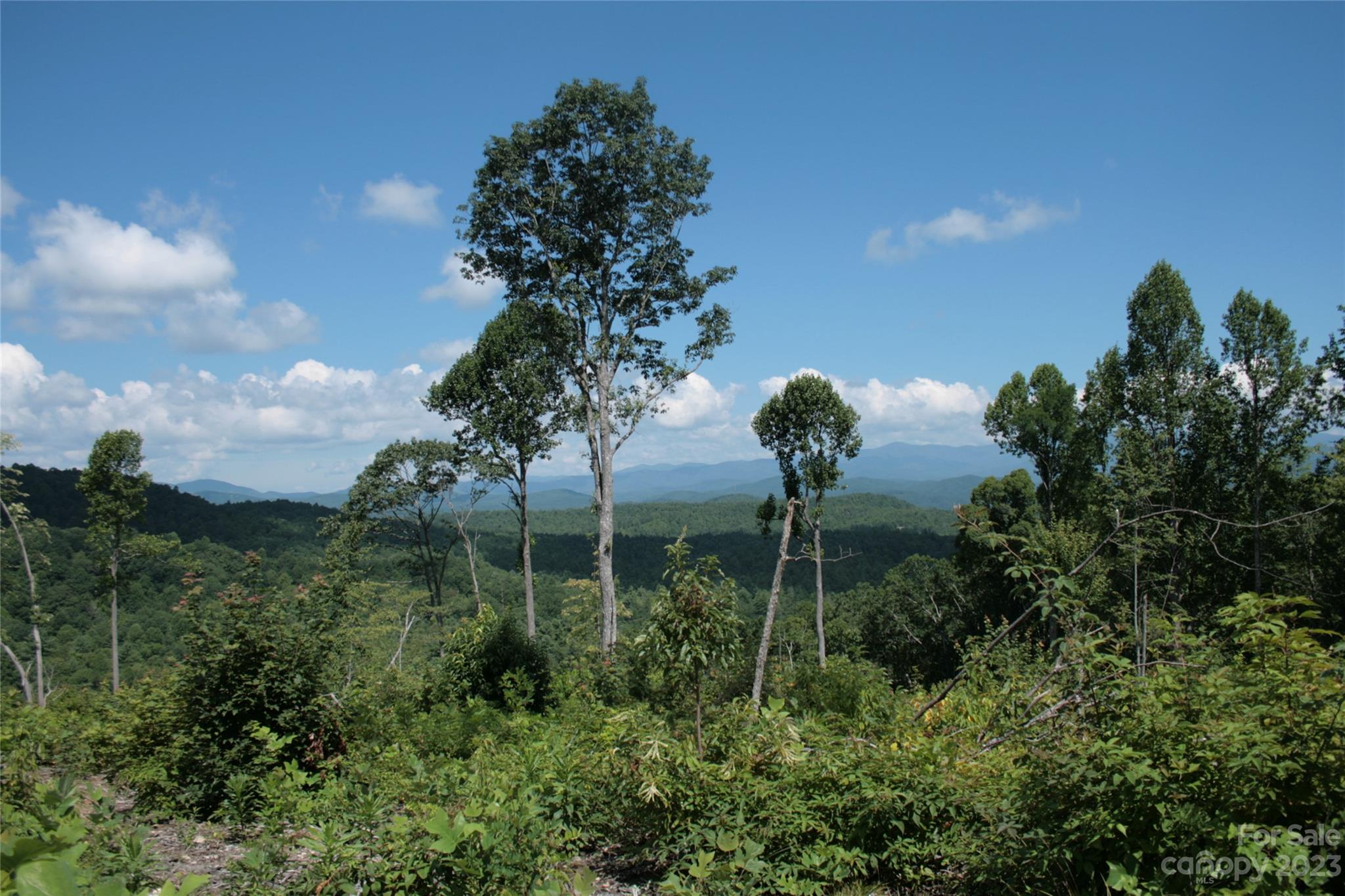 Tbd Nancy Mountain Road Rosman NC 28772
