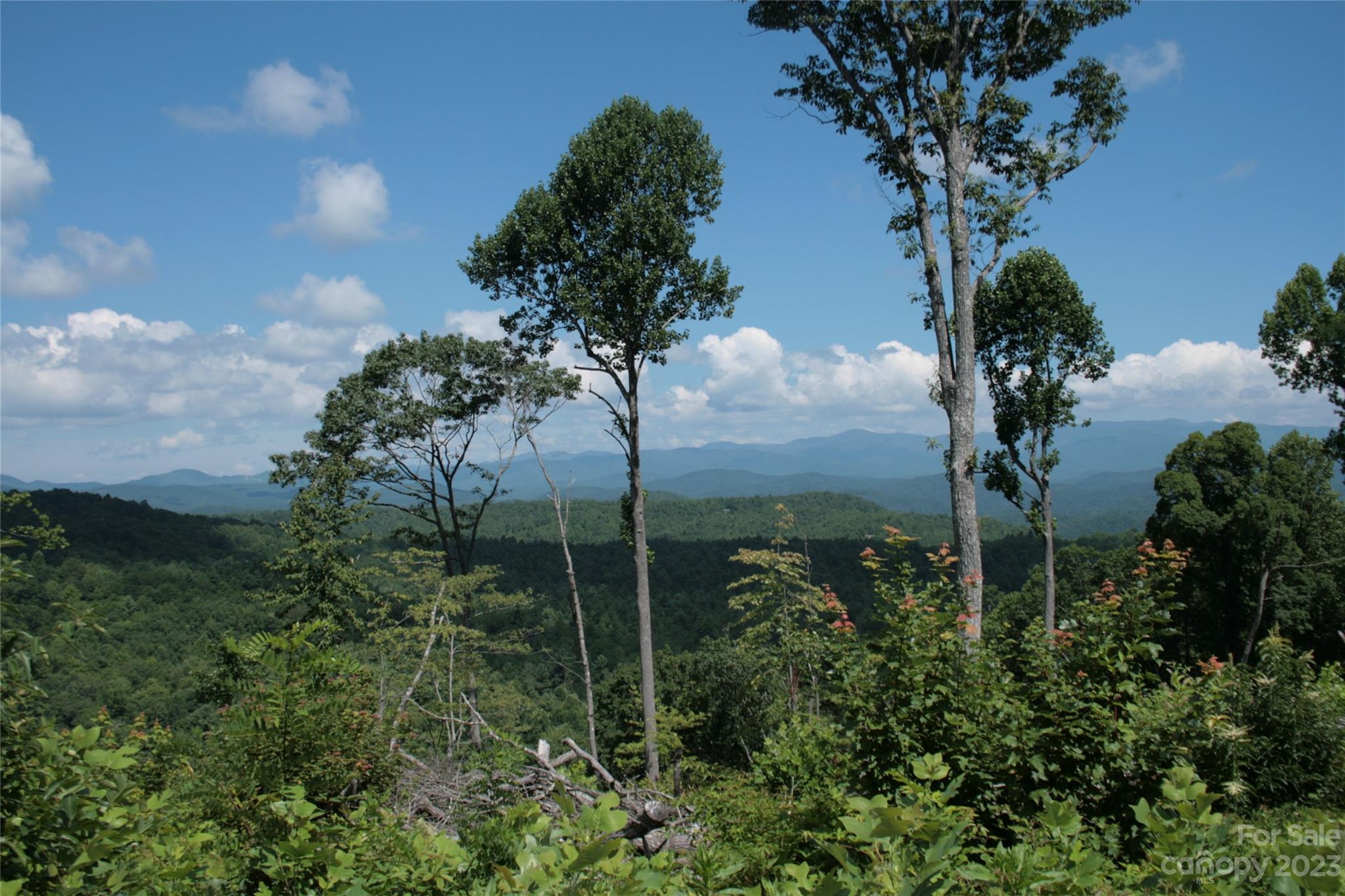 Tbd Nancy Mountain Road Rosman NC 28772