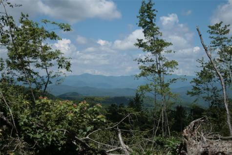 Tbd Nancy Mountain Road Rosman NC 28772