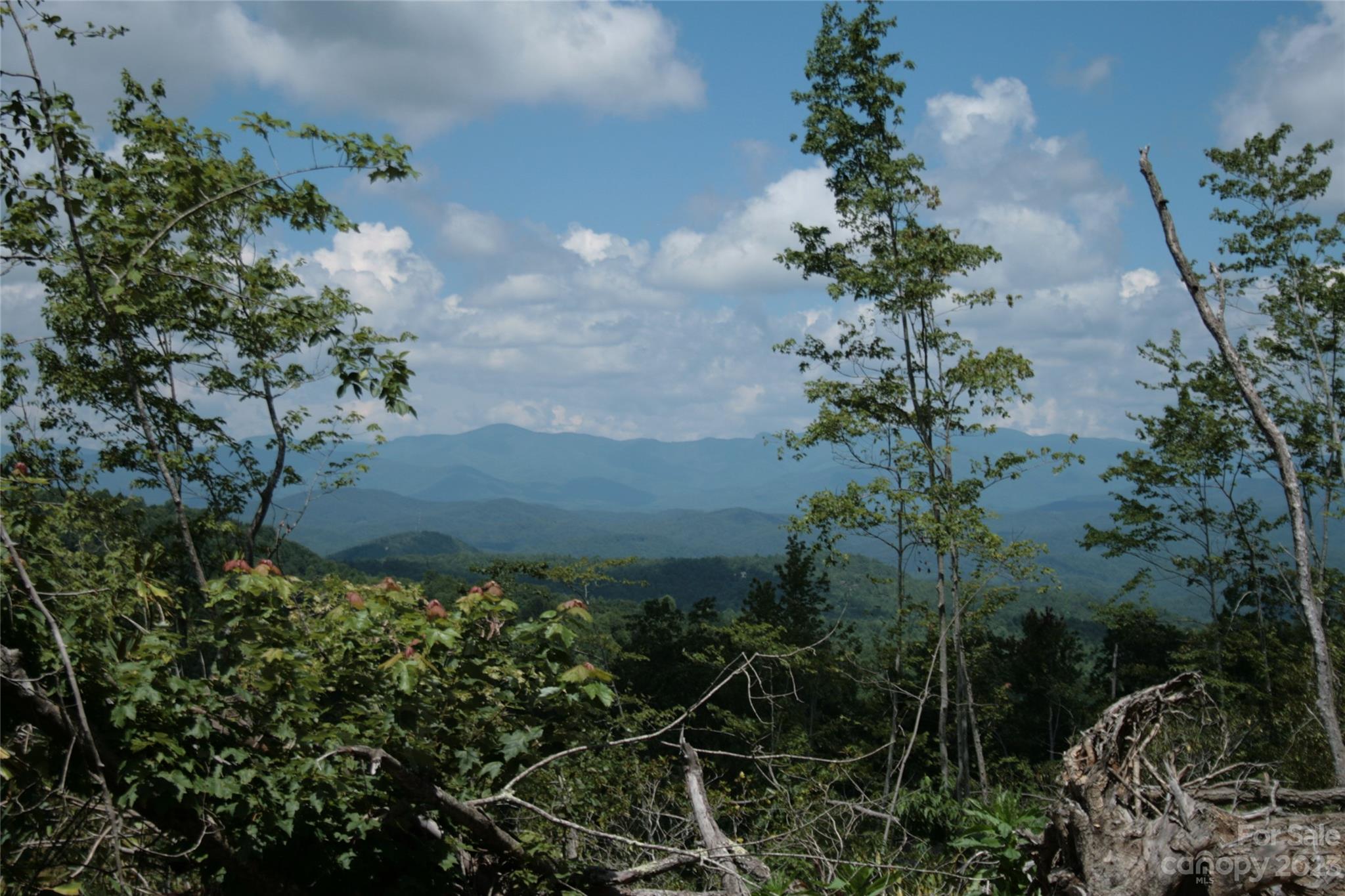 Tbd Nancy Mountain Road Rosman NC 28772