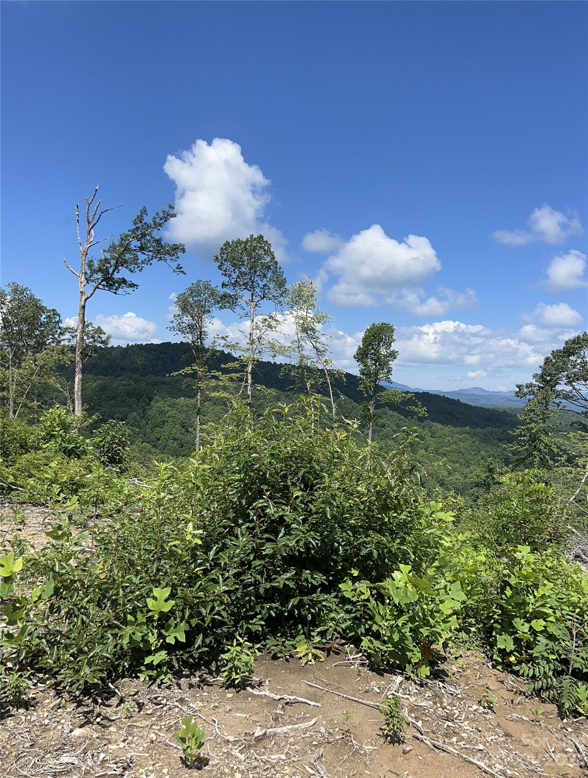 Tbd Nancy Mountain Road Rosman NC 28772