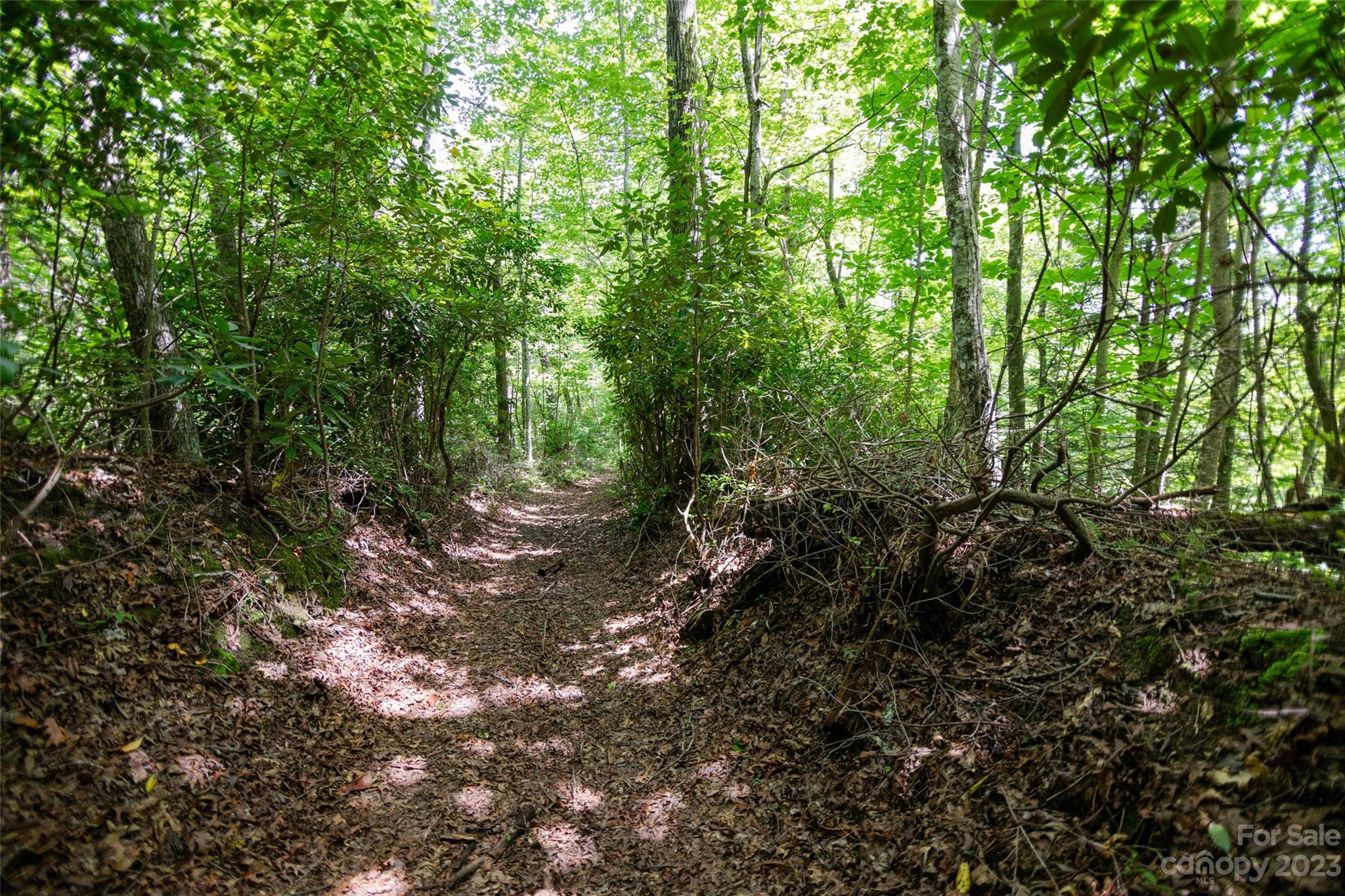 Tbd Nancy Mountain Road Rosman NC 28772