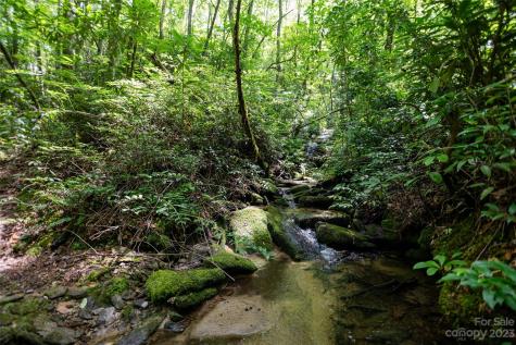 Tbd Nancy Mountain Road Rosman NC 28772