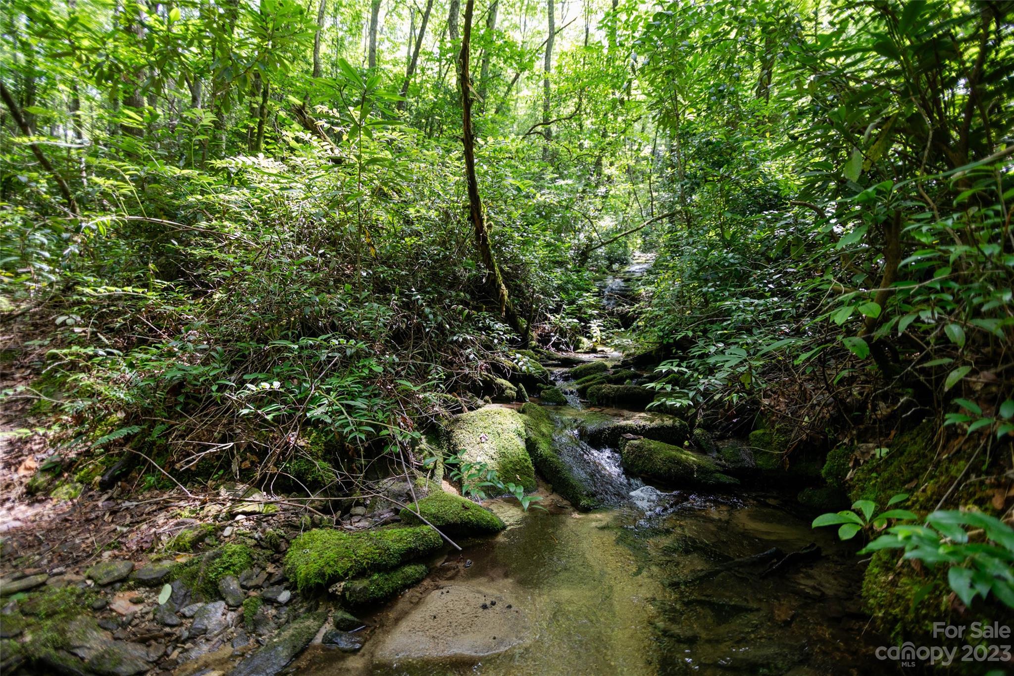 Tbd Nancy Mountain Road Rosman NC 28772