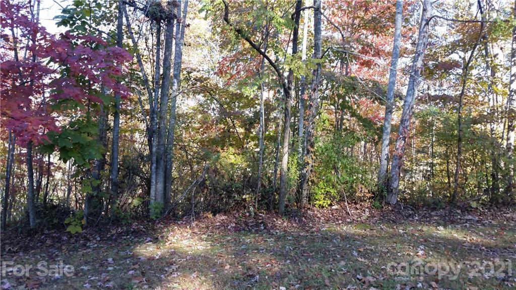 1420 Mountain Meadow Drive Hendersonville NC 28739