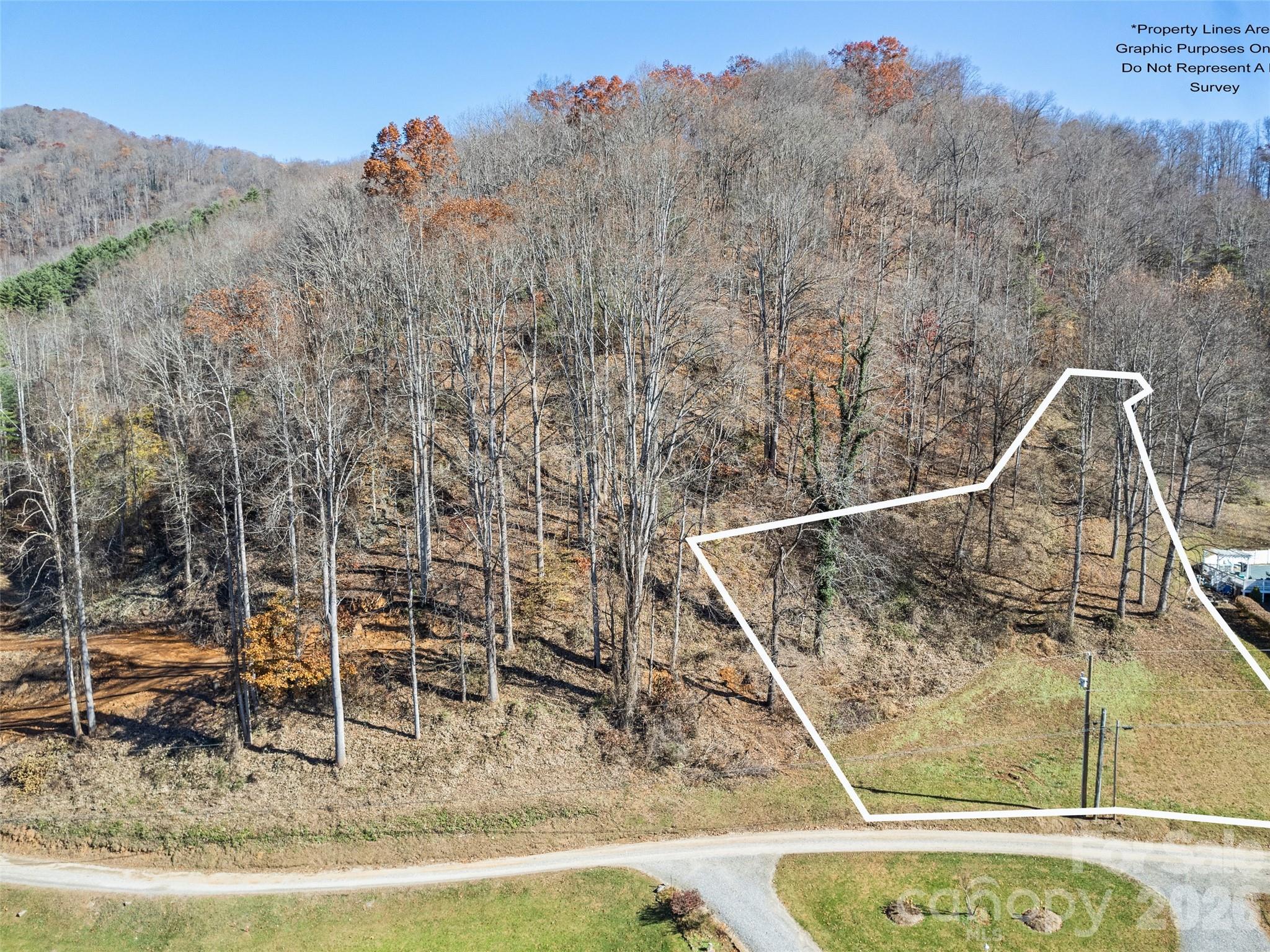 Tract 4: Lot 5 White Birch Drive Sylva NC 28779