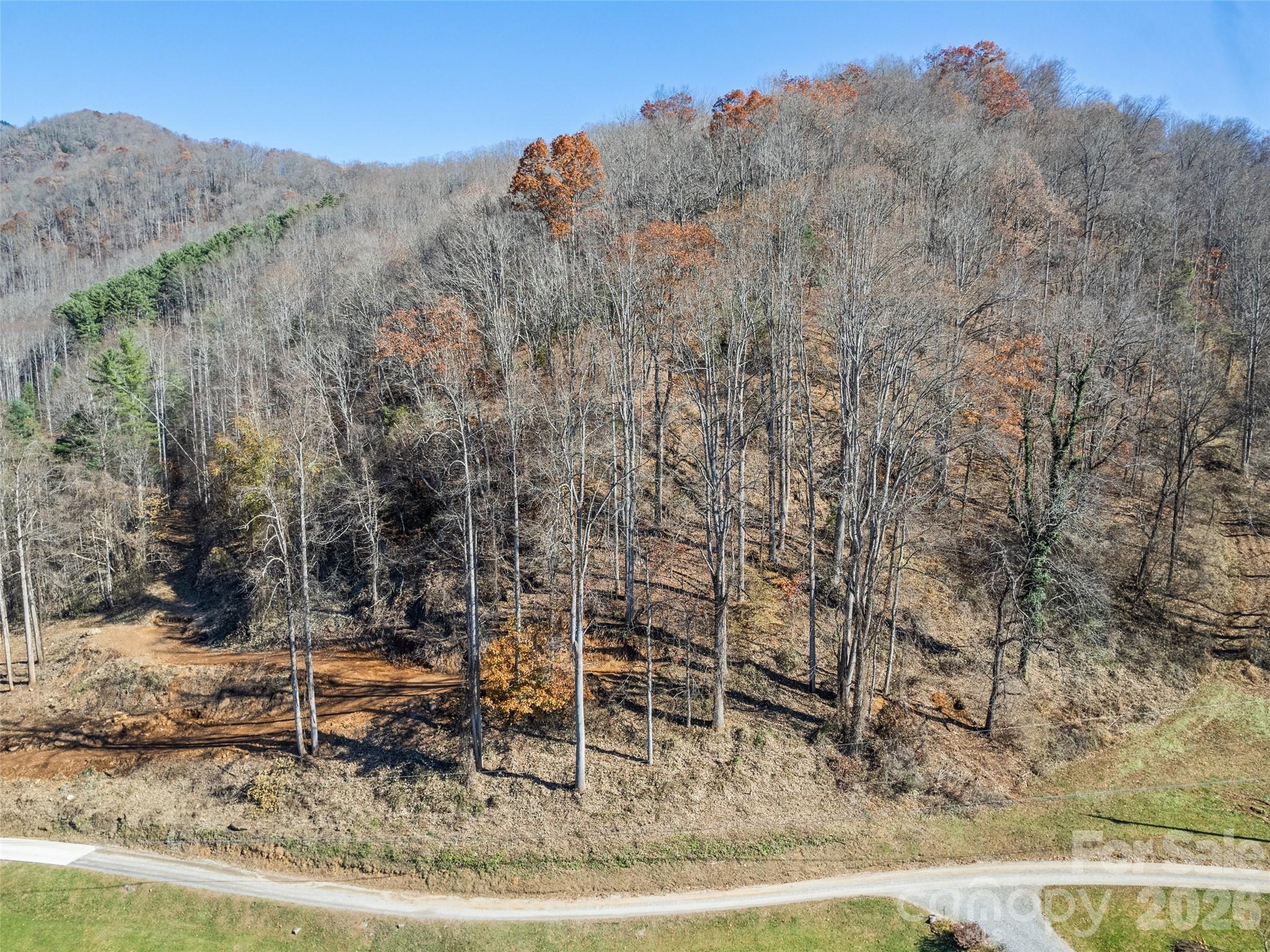 Tract 4: Lot 5 White Birch Drive Sylva NC 28779