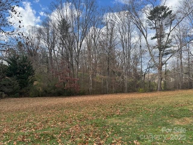 25 Highland Street Weaverville NC 28787