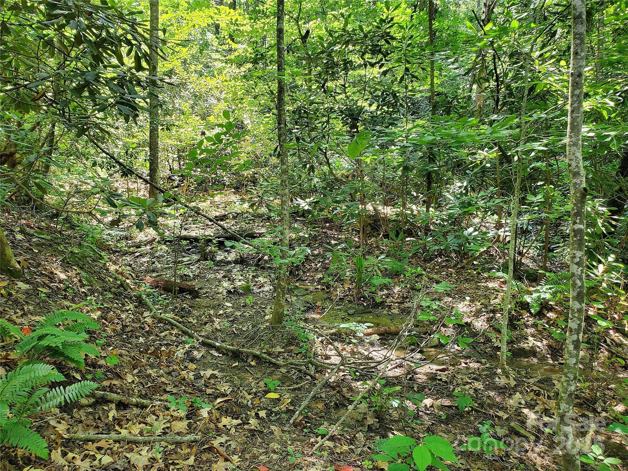 000 Green River Cove Road Saluda NC 28773