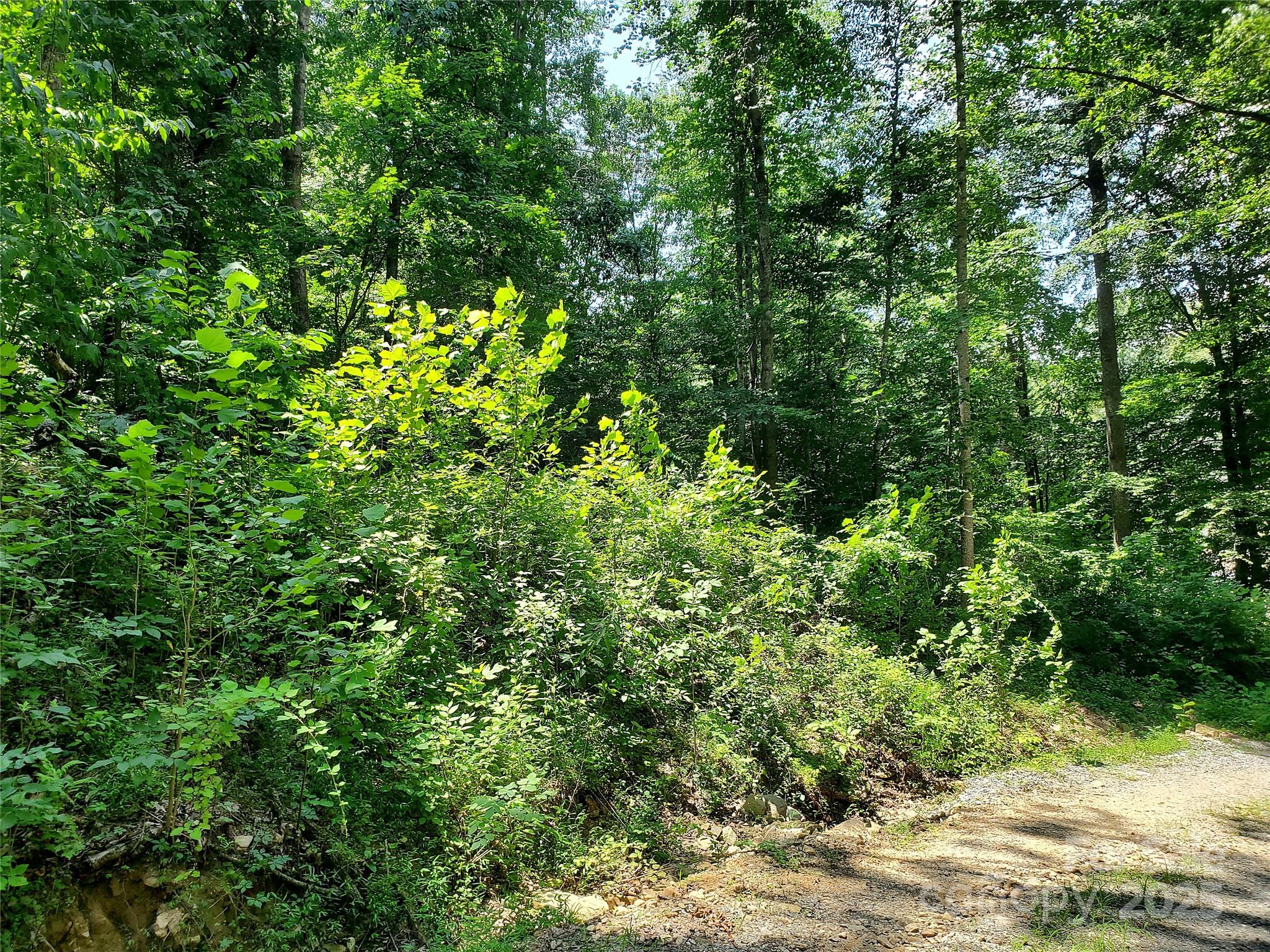 000 Green River Cove Road Saluda NC 28773