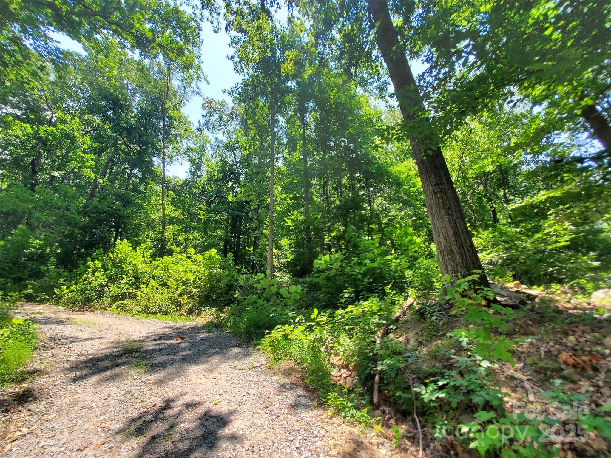 000 Green River Cove Road Saluda NC 28773