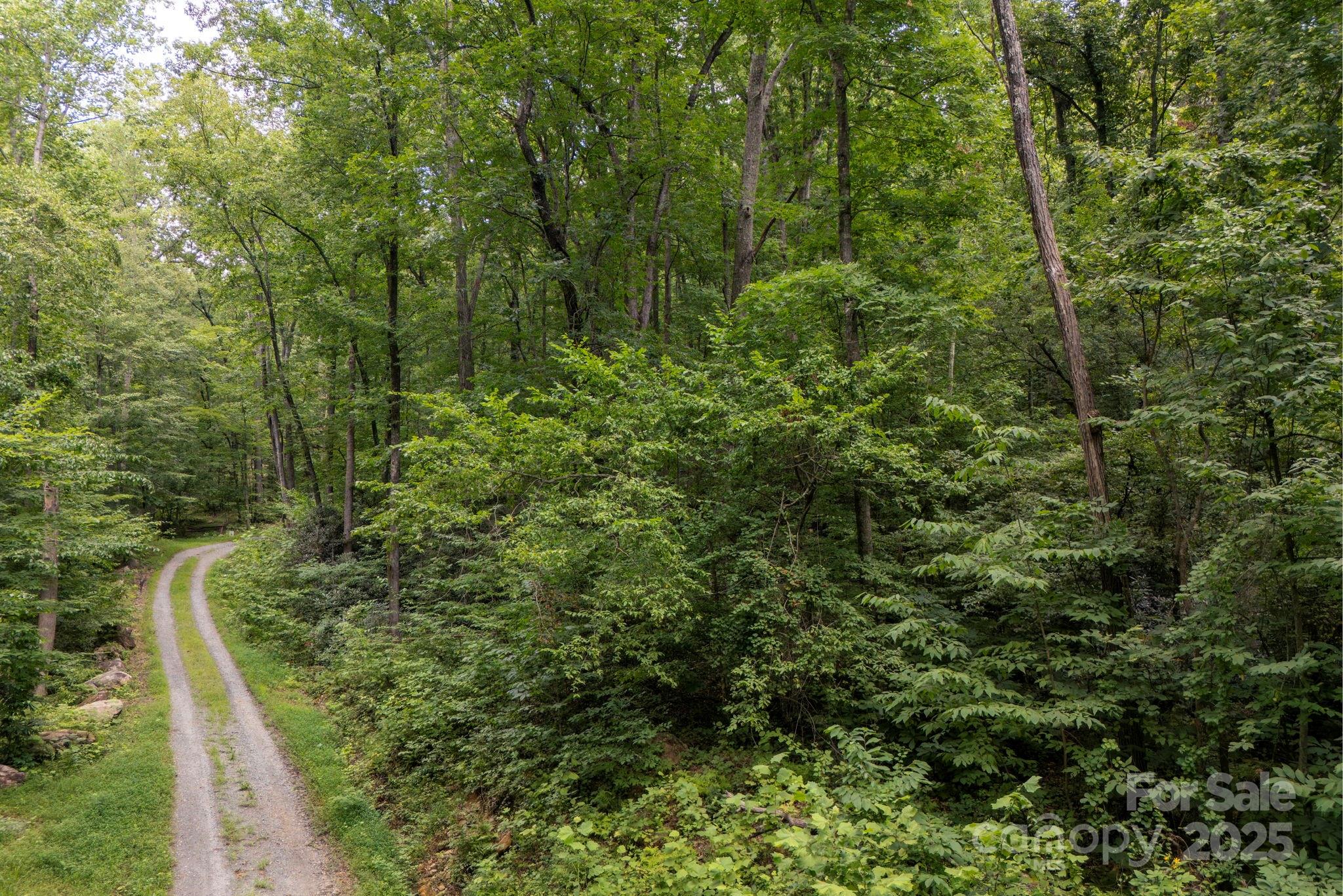 000 Green River Cove Road Saluda NC 28773