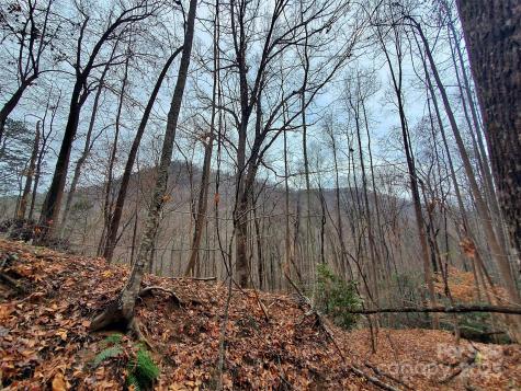 000 Green River Cove Road Saluda NC 28773